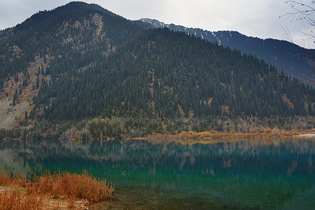 加拿大摩拉因湖农村活力场景地方旅游木头反射湖岸自然保护区地平线图片