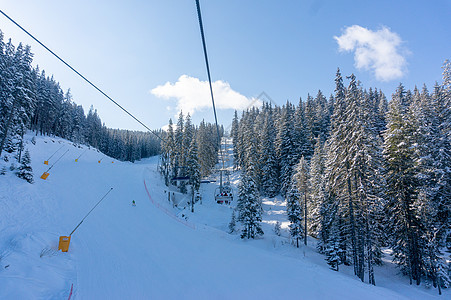 滑雪度假胜地上的冬季森林假期运动图片