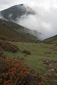 秋天风景 自然公园Ubias桌 雾 阿斯图里亚斯 斯帕植物场景季节荒野日出日落美丽阳光旅行全景图片