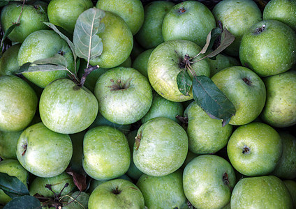 绿苹果simerenka或绿红成熟和果汁的背景奶奶甜点食物水果生产营养农业小吃市场蔬菜图片