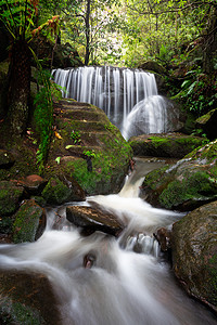 连绵不断的瀑布穿过大雨林图片