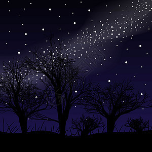 蓝色漆黑的夜空 树林上方有许多星星 银河宇宙背景图片