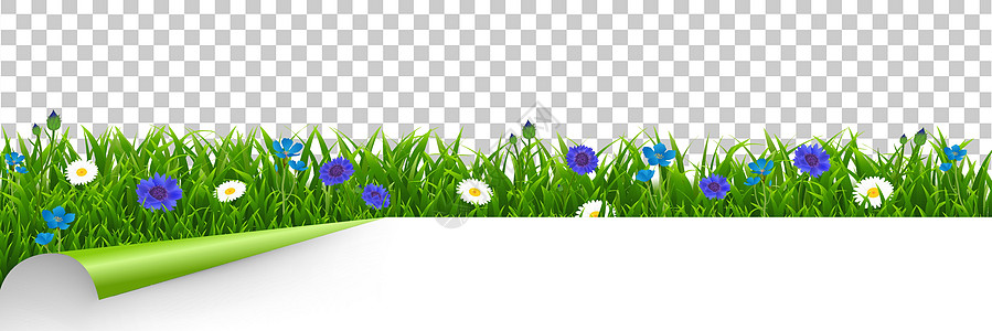 草和蓝色花边框透明背景背景图片