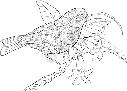 成人涂色书 在早午餐图片上给一只可爱的蜂鸟翻页树叶午餐冥想染色卡通片打印花朵黑色花瓣曲线图片