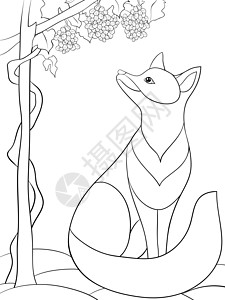 成人着色书 页面上有可爱的狐狸形象供放松活动曲线涂鸦树叶动物群染色水果花瓣艺术打印冥想图片