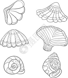 一套用于放松和打印的涂鸦贝壳 Icons 设计 line图片