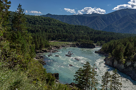 绿色森林卡通山中河流的景象卡通岩石天空风景旅游森林旅行全景石头爬坡背景