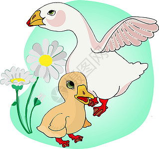 幼浅背景和黛西花朵上的鹅和小鹅图片