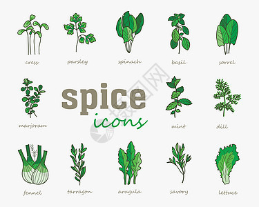 绿化矢量图标集 蔬菜绿假菠菜植被水芹荨麻美味植物香菜龙蒿叶子绿色图片