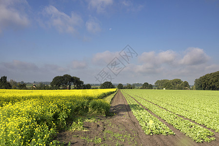 奥森德勒赫附近的景观农作物农业多云风景权能地平线乡村场地小路图片