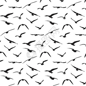 海鸥剪影图案背景Vecto飞行黑色鸟类天空鸽子插图绘画墙纸白色图片