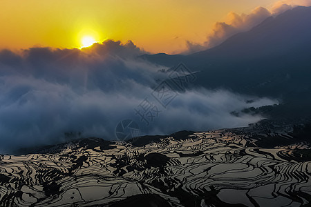 元阳稻田和云海的日出旅游吸引力村民爬坡道土壤文化反射稻田天线场地图片