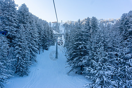 滑雪度假胜地上的冬季森林假期运动图片