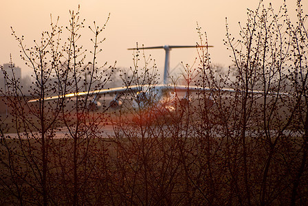 大货机背景模糊 金色时光夜灯 预示着许多树枝的生长情况旅行日落飞机场航班橙子地平线假期天空翅膀空气图片