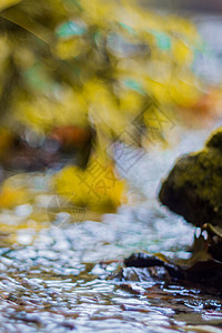 秋天公园里的小溪 许多黄叶在前景和模糊的背景中 低侧特写视图 在公园的秋天环境林地季节溪流岩石木头场景叶子峡谷石头图片