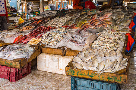 显示在红海捕鱼的不同鱼的外观餐饮摊位市场美食派对展示海鲜厨师眼睛食物图片