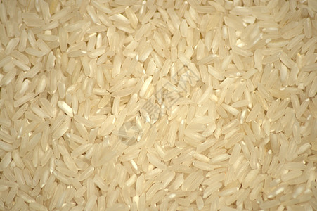 白稻密集背景 照片是特写拍摄的 笑声食物营养粮食白色饮食背景图片