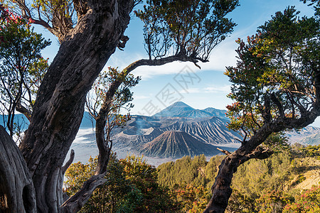 布罗莫火山的日出 在印度爪哇喷射蓝色陨石吸引力火山口旅行旅游地平线冒险小径薄雾背景图片