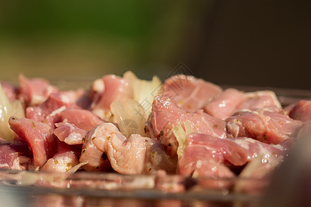 烧烤前生肉切片蔬菜美食食物午餐牛肉烹饪猪肉盘子野餐传统图片