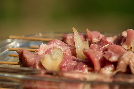 烧烤前生肉切片蔬菜炙烤传统野餐烹饪美食洋葱食物猪肉胡椒图片