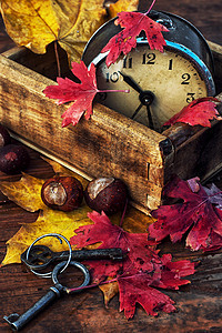 秋余生历史红色日光钟表背景桌子时间手表橙子叶子图片