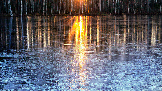 江水开始被第一个冰层覆盖 河水中反射着太阳落日的亮光阴影阳光木头树干季节风景森林太阳光线荒野射线图片