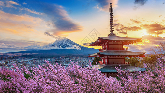 天空气球富士山和丘瑞托塔塔的美丽地标 日落时有樱花 日本春天背景