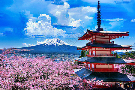 春天樱花开花 日本的朱瑞托塔和藤山神道火山浅间风景寺庙蓝色旅行公园地标叶子图片