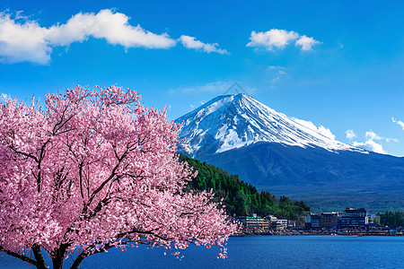 日本春天的藤山和樱花盛开季节游客节日全景天空日落地标公吨天际火山图片