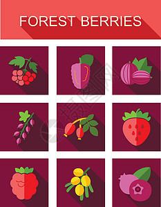 森林浆果图标 se红色沙棘覆盆子黑色荆棘鼠李食物水果叶子蓝色图片