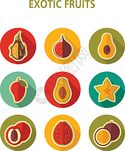 异国情调的水果图标 se荔枝热带插图食物木瓜热情图片