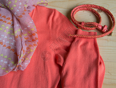 妇女时装粉红色的毛衣 光木背景上带皮带女孩店铺销售成套购物纺织品裙子夹克衣服时尚图片