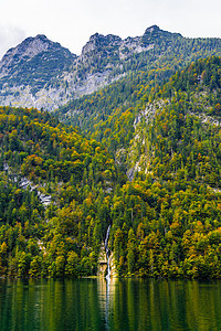 德国巴伐利亚国家公园湖附近的阿尔普山小瀑布墙纸溪流旅游植物木头公园风景苔藓旅行荒野图片