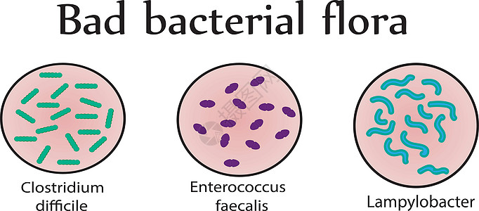 肠道菌群 坏细菌 它制作图案矢量图片