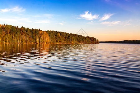 日落阳光下湖岸边的林林中薄雾木头天空钓鱼阳光叶子池塘旅游森林环境图片