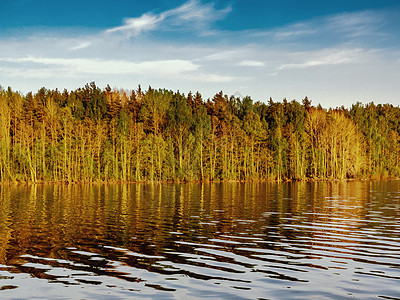 日落阳光下湖岸边的林林中公园反射森林薄雾木头地平线旅游钓鱼蓝色叶子图片