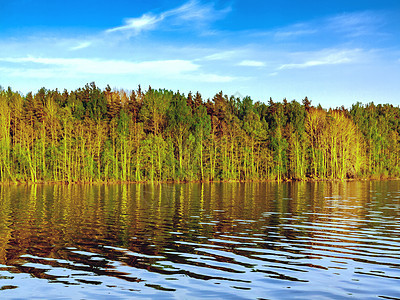 日落阳光下湖岸边的林林中森林地平线薄雾天空叶子旅游钓鱼木头公园蓝色图片