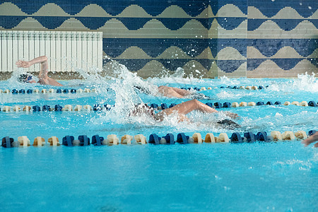 孩子们游自由式泳池 室内游泳池里有清蓝的水竞争团队竞赛季节孩子青年男性男生女孩车道图片