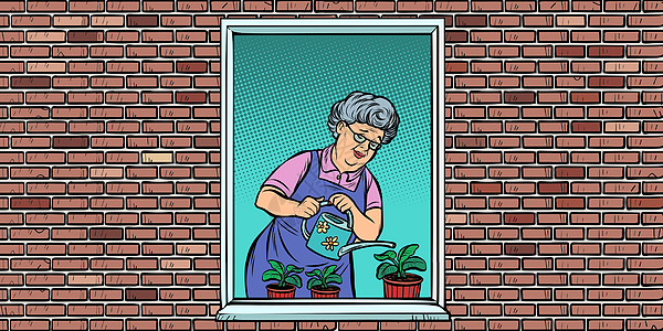 窗外的老太婆正在给盆花浇水图片