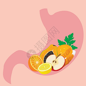 胃部形状充斥着健康的米瓜 健康消化概念 饮食图片