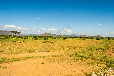 足迹和草原的视图水平野生动物天空环境风景公园旅行大草原绿色国家图片