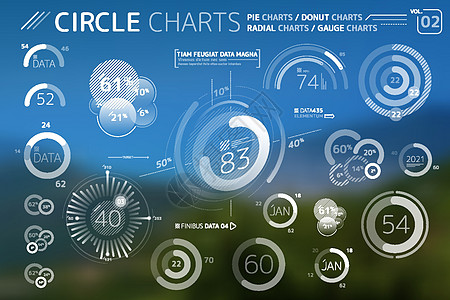 圆图饼图甜甜圈图和径向图信息图表元素金融界面生长商业直方图贸易烛台互联网战略公司图片