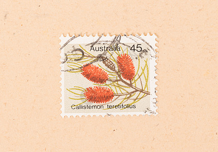 澳大利亚  大约 1970 年 在澳大利亚打印的邮票显示了 flo爱好空气邮资收藏古董历史性信封收集图片