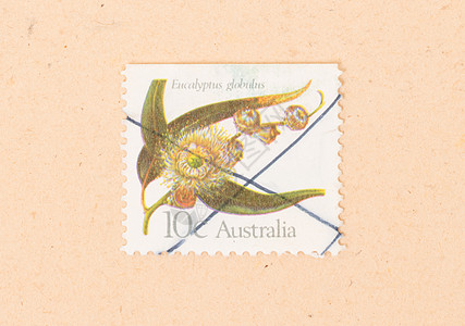 澳大利亚  大约 1970 年 在澳大利亚打印的邮票显示了 flo空气古董信封历史性邮资收藏爱好收集图片