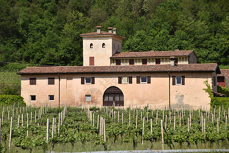 古法国葡萄酒农场     意大利加工植被建筑场地土壤爬坡传统房子生产历史图片