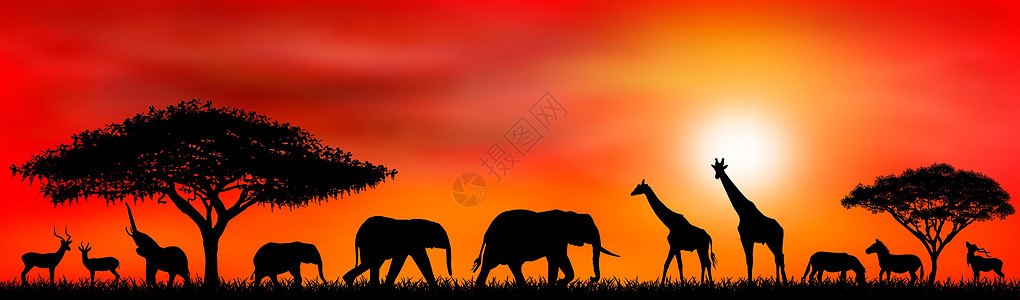 日落太阳背景下的野生动物图片