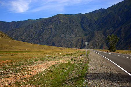 穿过高山脚下的田地的阿法特公路 楚伊道 阿尔泰 西伯利亚 风景图片