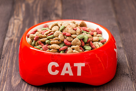 在家地板上加干食品的特配红猫碗图片