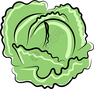 白色背景上的新鲜卷心菜洋葱市场沙拉黄瓜绘画艺术收成草图农业饮食图片
