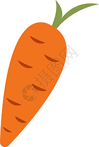 白色背景上的新鲜胡萝卜插画矢量蔬菜饮食卡通片插图叶子农业沙拉绘画收成花园图片